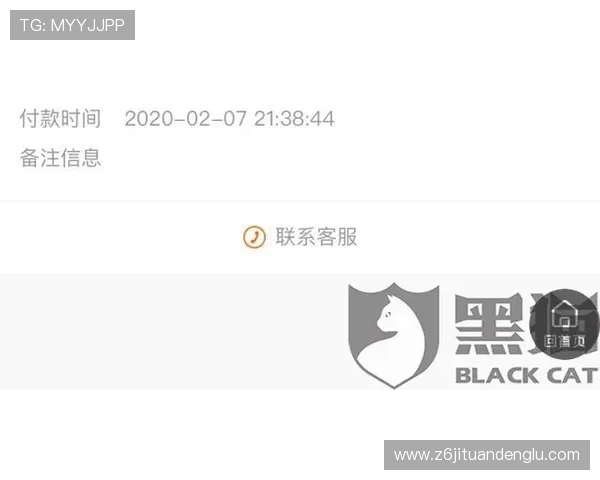 尊龙现金下载官网网址官方入口，全天候客服支持保障用户权益