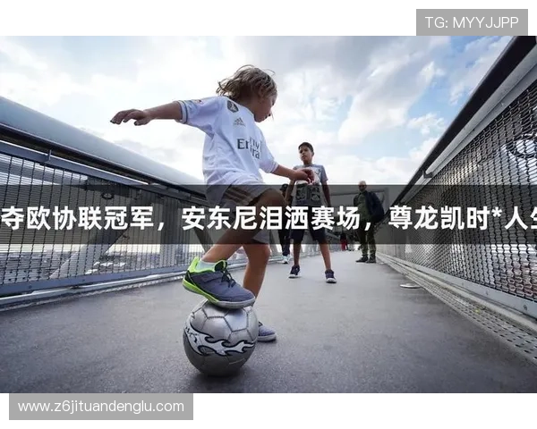 尊龙凯时完美体育电脑版官网详细介绍平台的注册流程和账户安全保障措施