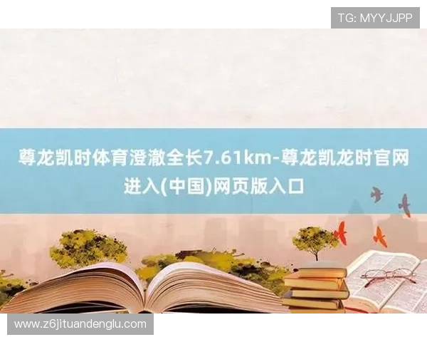 尊龙集团网页版登录官方入口最新版本下载安装步骤全攻略